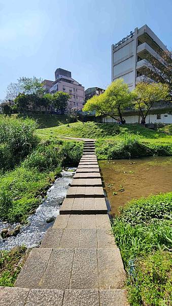 【台北賞櫻景點】東湖樂活公園賞櫻&內溝溪步道粉嫩浪漫櫻花