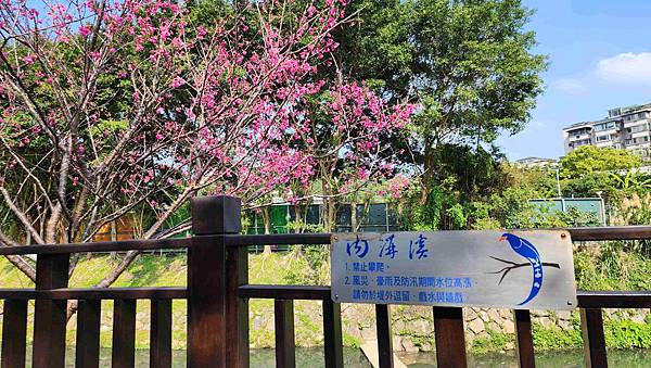 【台北賞櫻景點】東湖樂活公園賞櫻&內溝溪步道粉嫩浪漫櫻花