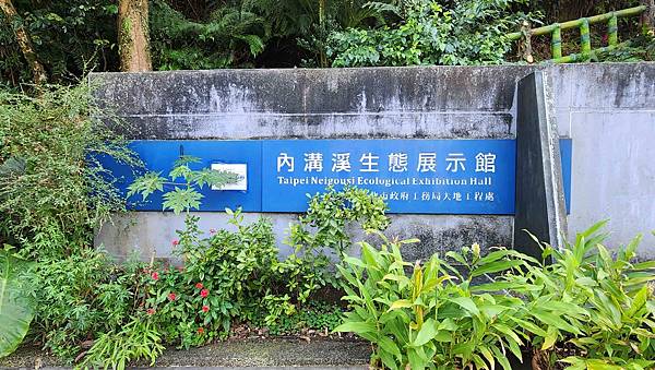 【台北賞櫻景點】東湖樂活公園賞櫻&內溝溪步道粉嫩浪漫櫻花