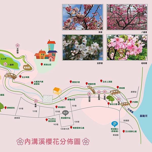 【台北賞櫻景點】東湖樂活公園&內溝溪賞櫻生態之旅