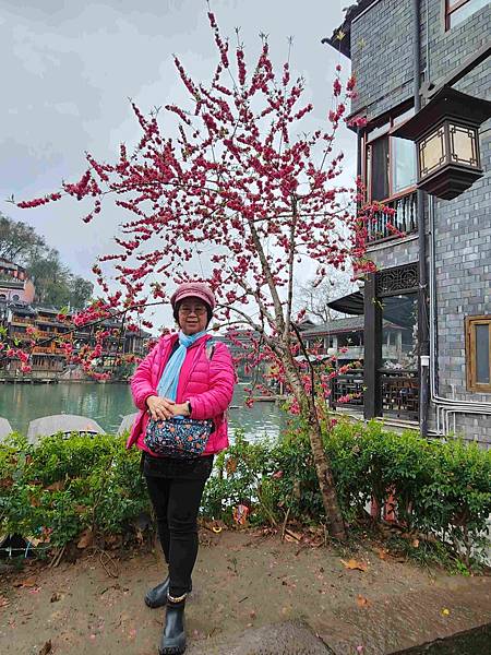 醉美仙境張家界天門山鳳凰古城精彩八日之旅(五)鳳凰古城(沈從