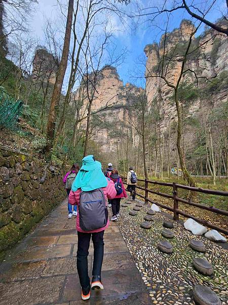 醉美仙境張家界天門山鳳凰古城精彩八日之旅(七)袁家界風景區(