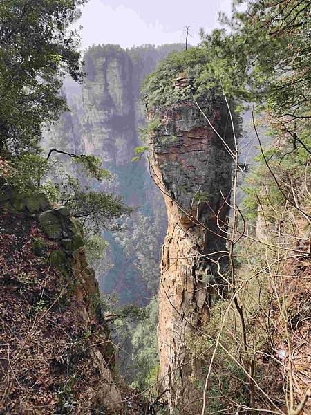 醉美仙境張家界天門山鳳凰古城精彩八日之旅(七)袁家界風景區(