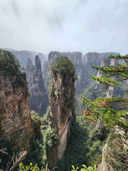 醉美仙境張家界天門山鳳凰古城精彩八日之旅(七)袁家界風景區(