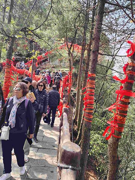 醉美仙境張家界天門山鳳凰古城精彩八日之旅(七)袁家界風景區(