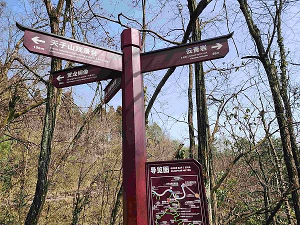 醉美仙境張家界天門山鳳凰古城精彩八日之旅(七)袁家界風景區(