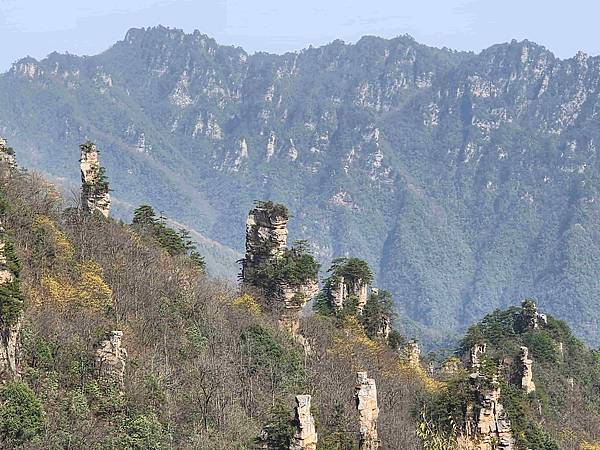 醉美仙境張家界天門山鳳凰古城精彩八日之旅(七)袁家界風景區(