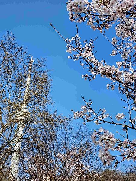 醉美仙境張家界天門山鳳凰古城精彩八日之旅(十三)武漢晴川閣、