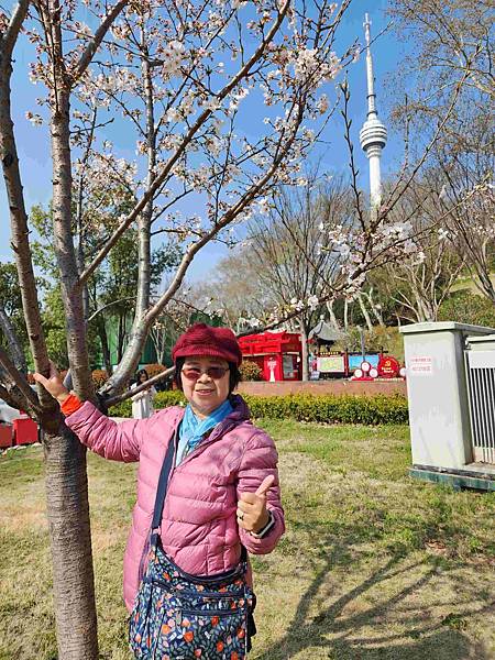 醉美仙境張家界天門山鳳凰古城精彩八日之旅(十三)武漢晴川閣、