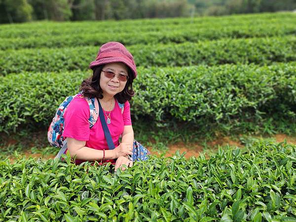 苗栗明湖蘇堤漫步、八甲茶園美拍