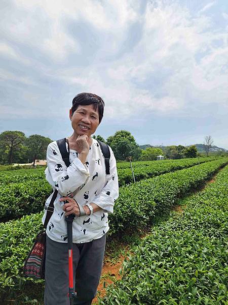 苗栗明湖蘇堤漫步、八甲茶園美拍