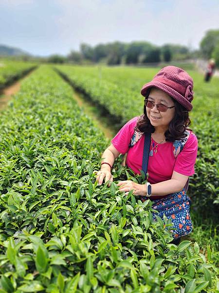 苗栗明湖蘇堤漫步、八甲茶園美拍