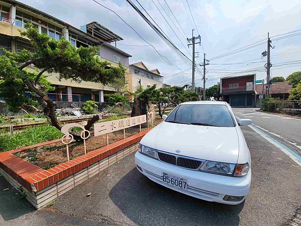 二水鐵道花旗木粉浪漫與火車同框