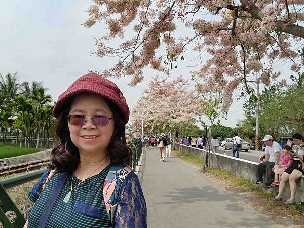 二水鐵道花旗木粉浪漫與火車同框