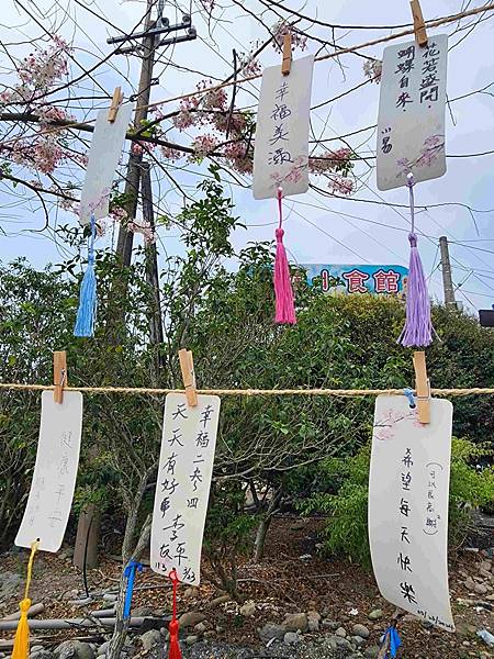 二水鐵道花旗木粉浪漫與火車同框