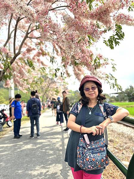 二水鐵道花旗木粉浪漫與火車同框