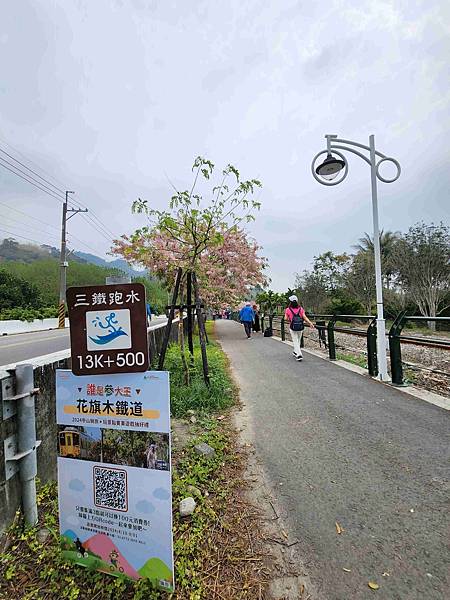 二水花旗木賞花並走訪充滿回憶的50年歷史文具店~~源泉故事屋