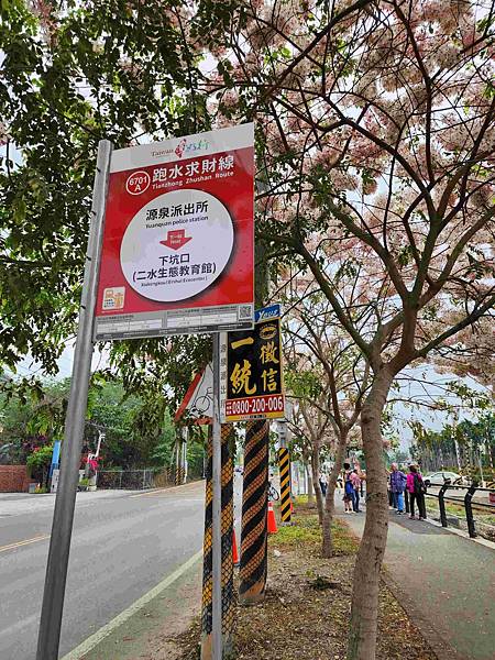 二水花旗木賞花並走訪充滿回憶的50年歷史文具店~~源泉故事屋