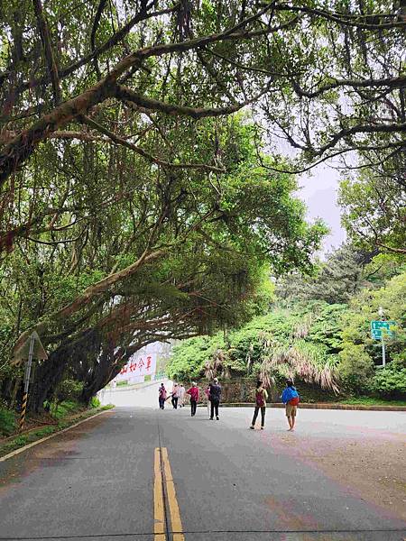 馬祖追淚跳島探秘深度旅遊(十二)西莒坤坵沙灘世界奇景方塊海