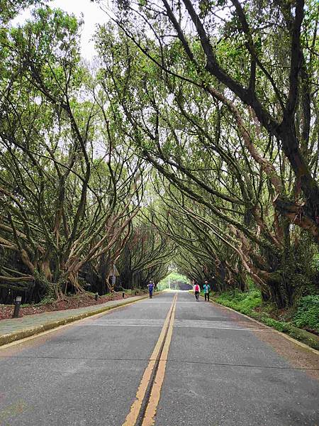 馬祖追淚跳島探秘深度旅遊(十二)西莒坤坵沙灘世界奇景方塊海