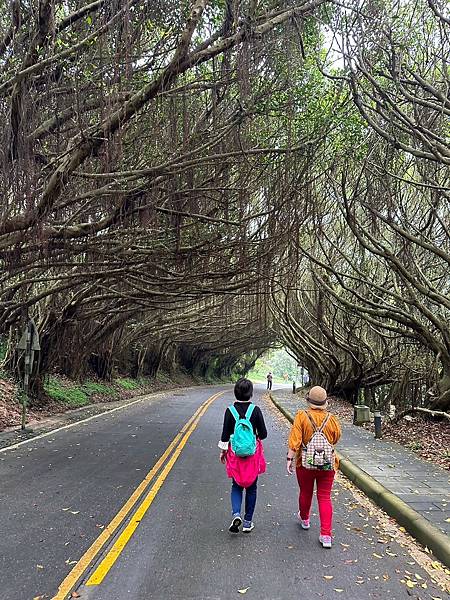 馬祖追淚跳島探秘深度旅遊(十二)西莒坤坵沙灘世界奇景方塊海&