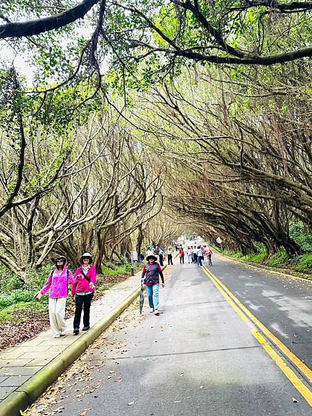 馬祖追淚跳島探秘深度旅遊(十二)西莒坤坵沙灘世界奇景方塊海&