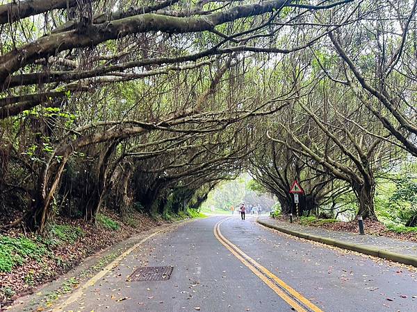 馬祖追淚跳島探秘深度旅遊(十二)西莒坤坵沙灘世界奇景方塊海&