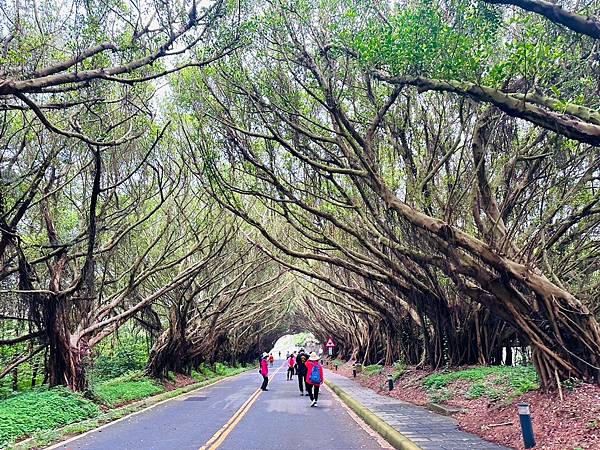 馬祖追淚跳島探秘深度旅遊(十二)西莒坤坵沙灘世界奇景方塊海&