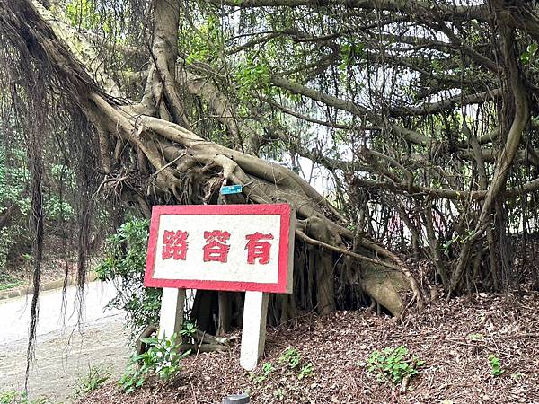 馬祖追淚跳島探秘深度旅遊(十二)西莒坤坵沙灘世界奇景方塊海&