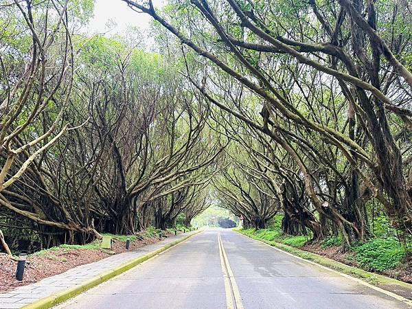 馬祖追淚跳島探秘深度旅遊(十二)西莒坤坵沙灘世界奇景方塊海&