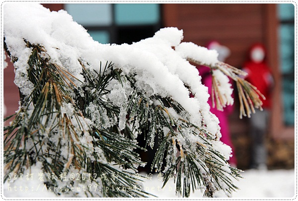 西岭雪山玩雪 159.JPG