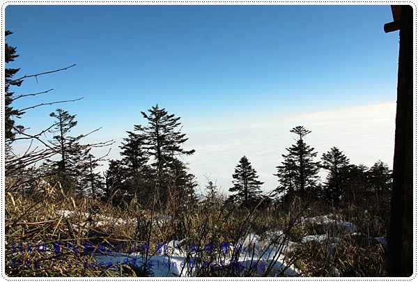 西岭雪山玩雪 292.JPG