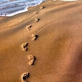 footprint11280.jpg