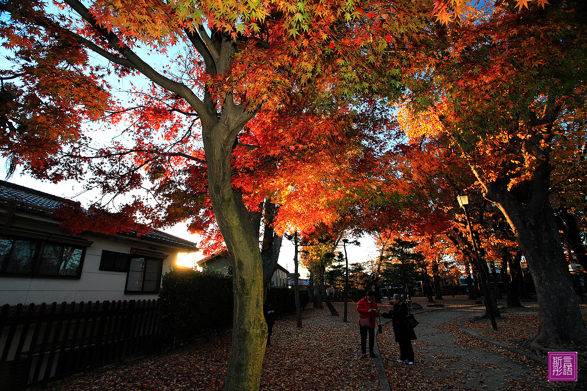 松本城- (26)