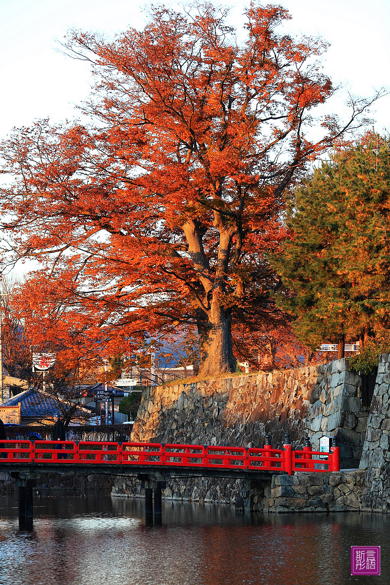 松本城- (40)