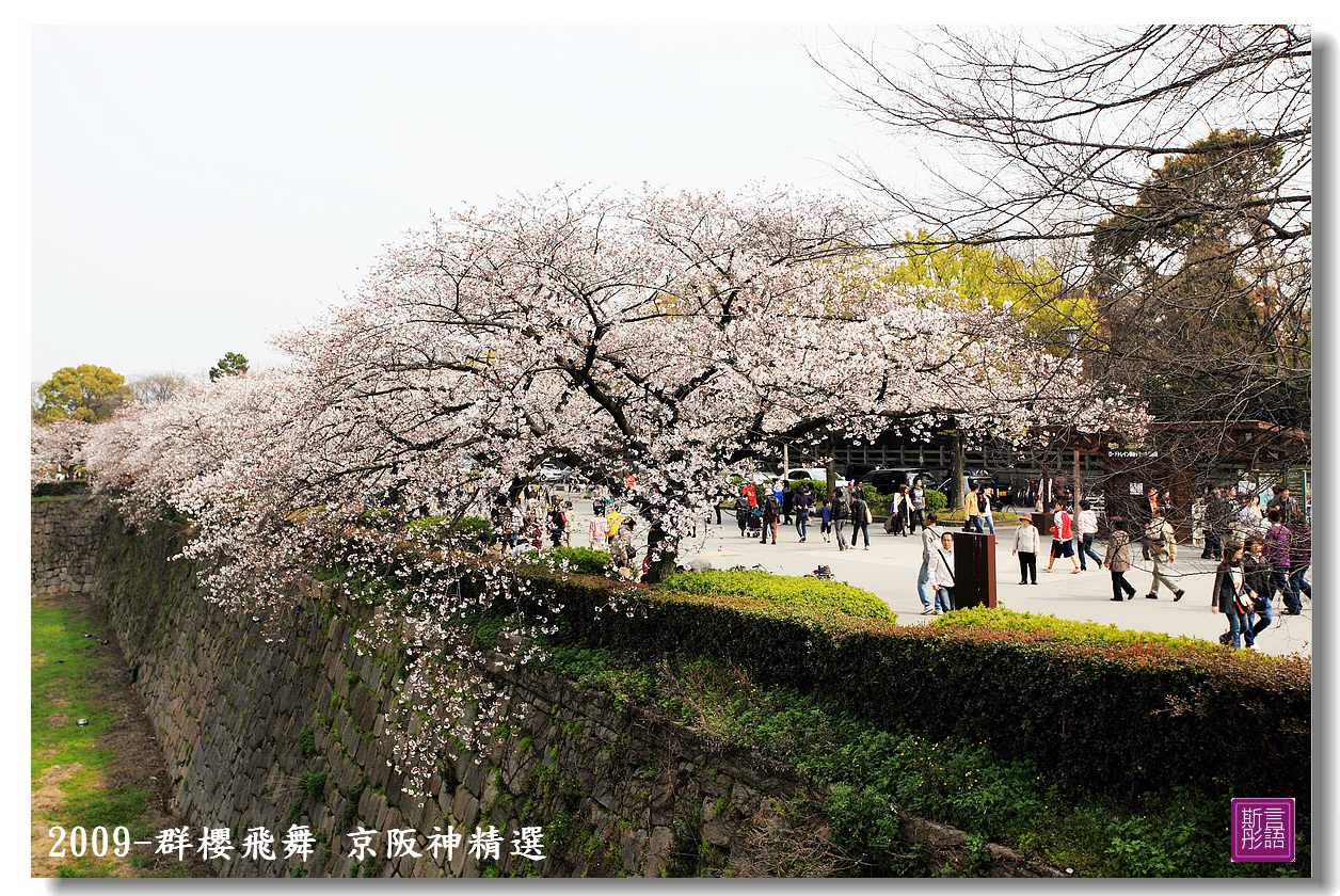 京阪神精選 (114)