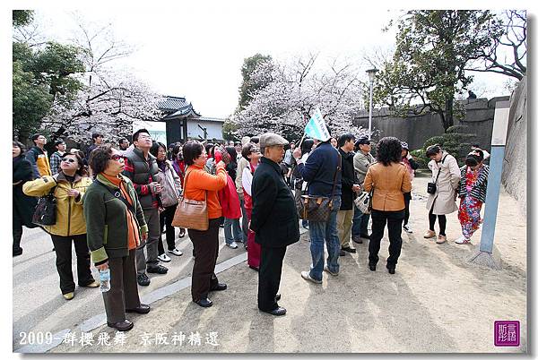 京阪神精選 (115)