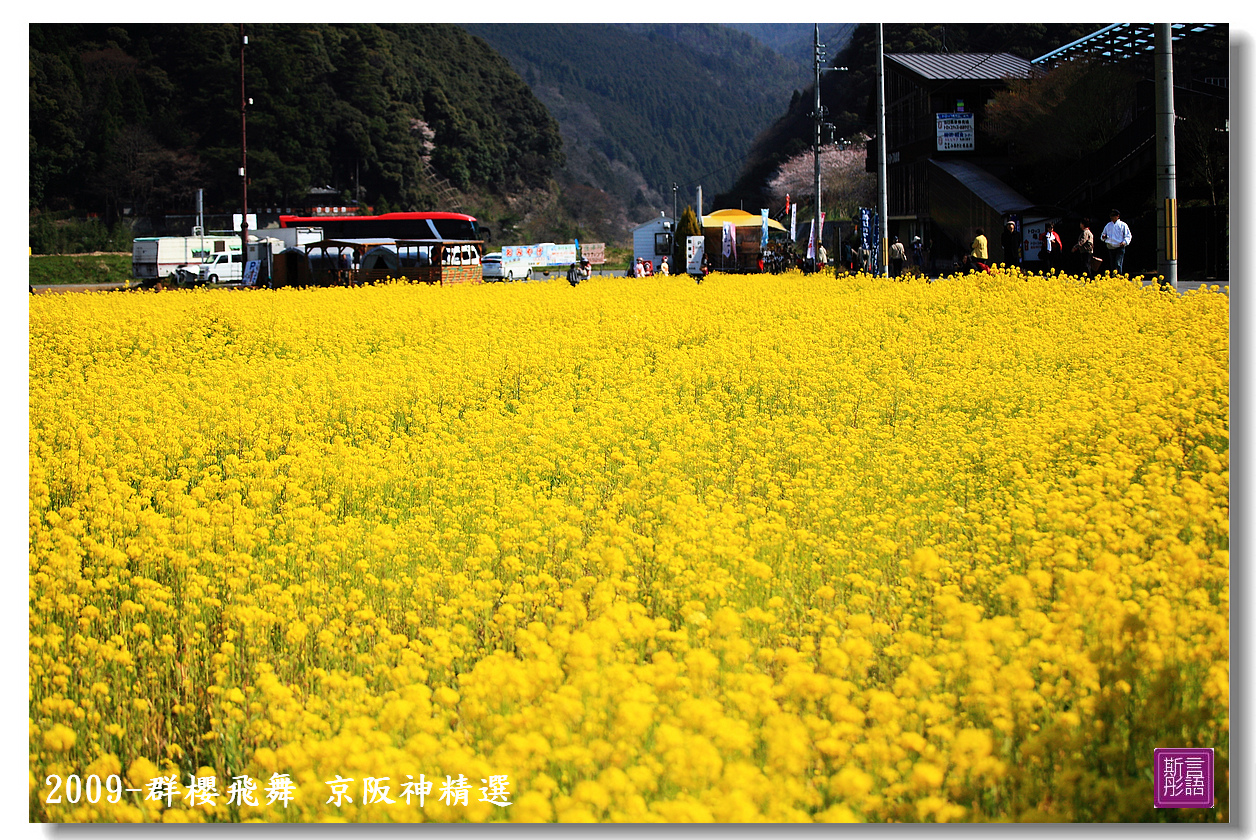 京阪神精選 (144)