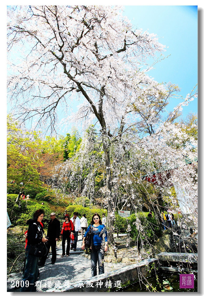 京阪神精選 (156)