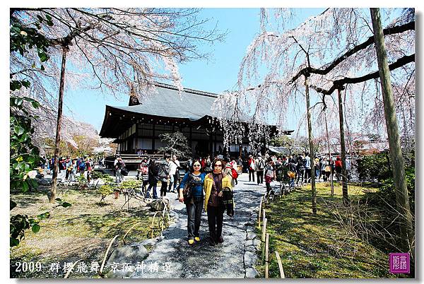 京阪神精選 (161)