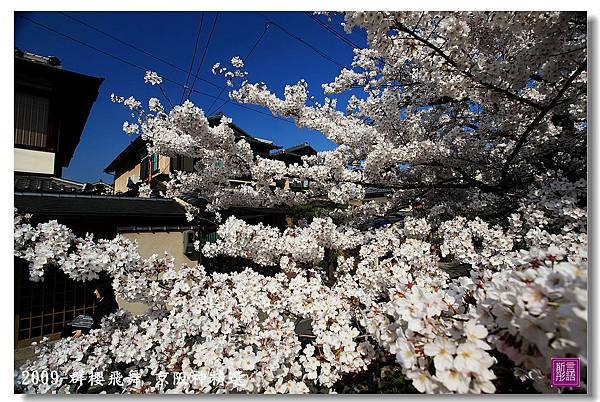 京阪神精選 (211).JPG