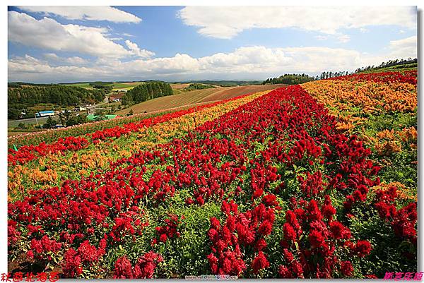 北海道精選. (118)