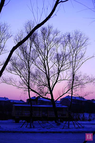 07東北虎林園 (64)