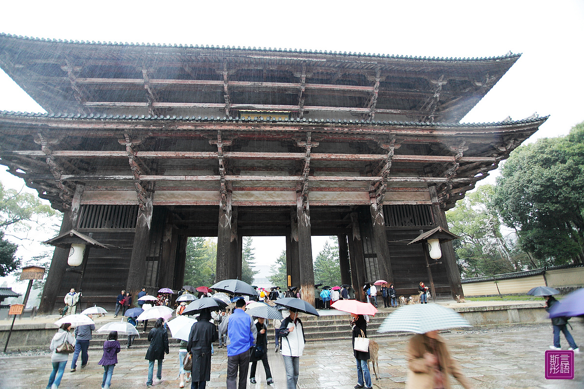 東大寺 (8)