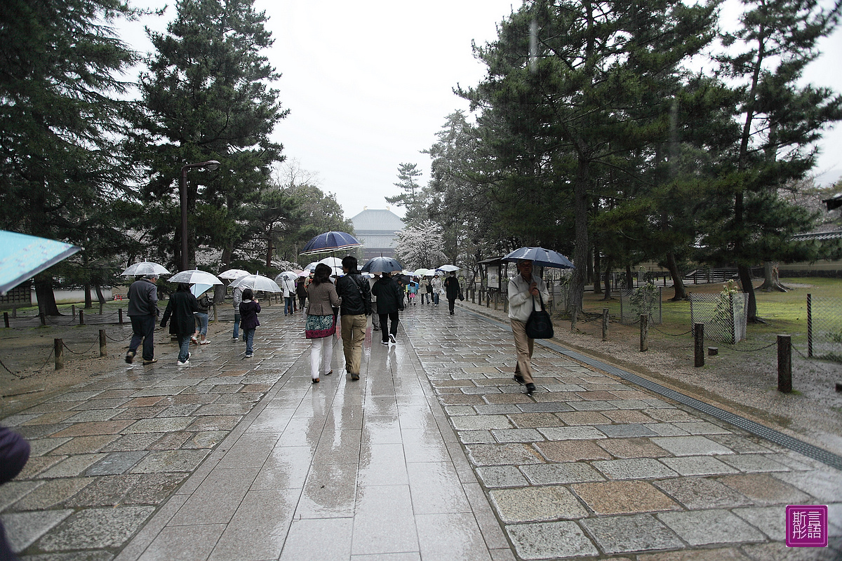 東大寺 (10)