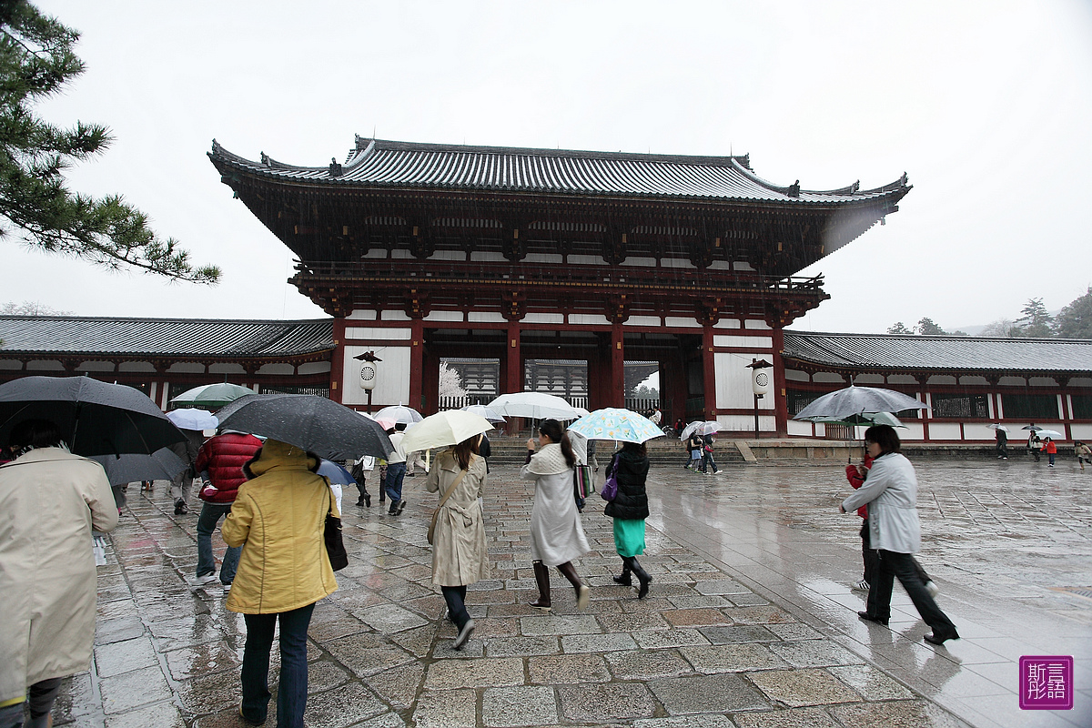 東大寺 (13)