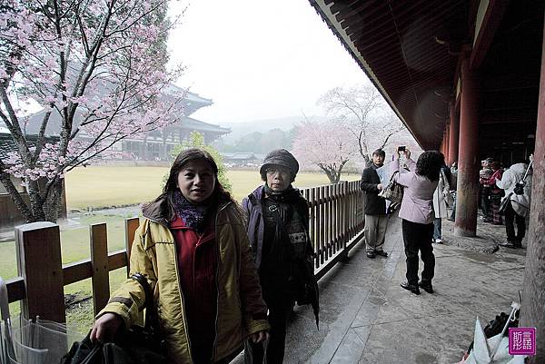 東大寺 (16)