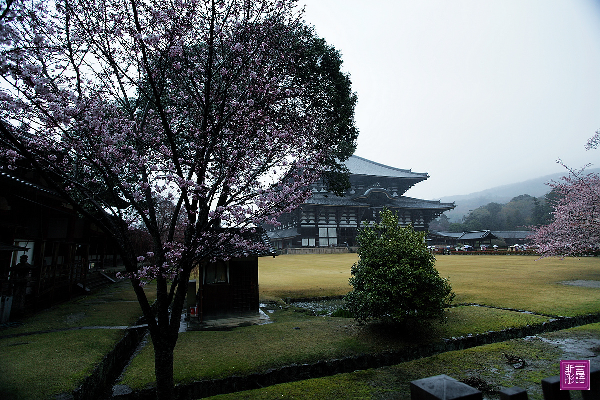 東大寺 (18)