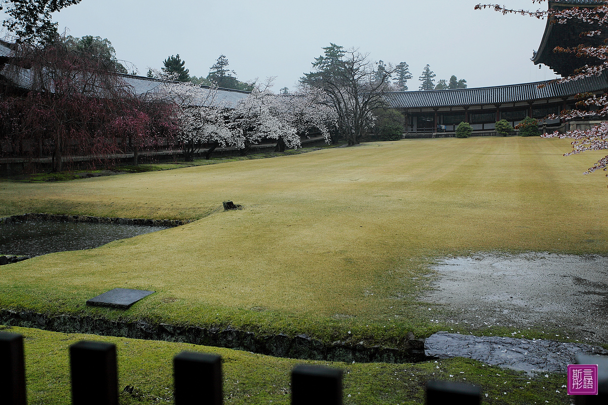 東大寺 (22)