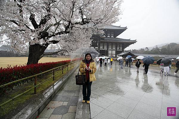 東大寺 (29)